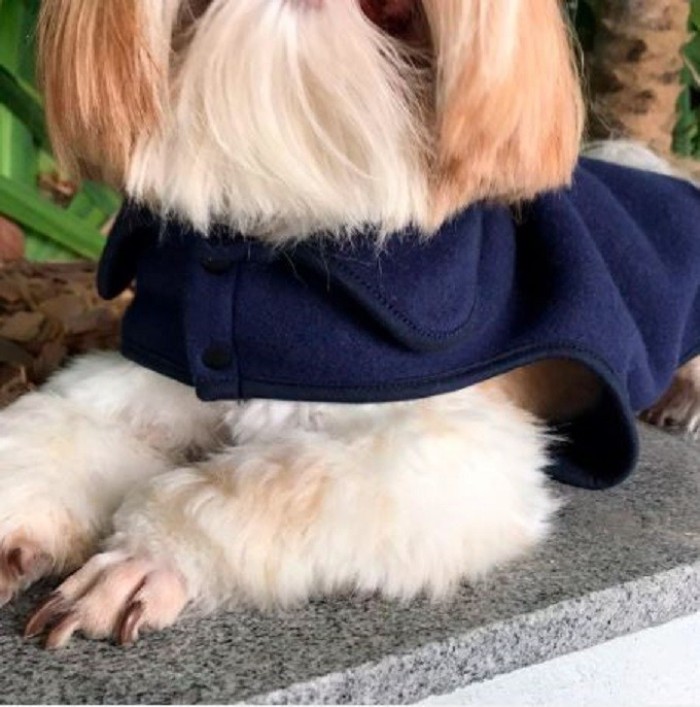 Casaco Pet com Gola Personalizado