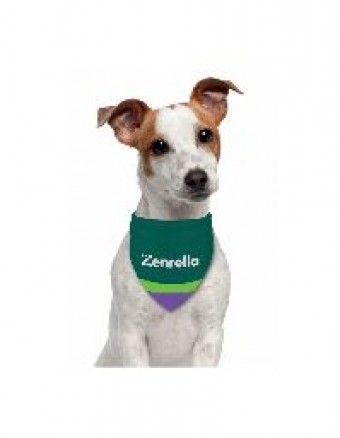 Bandana Pet Kit com 50 unidades atacado