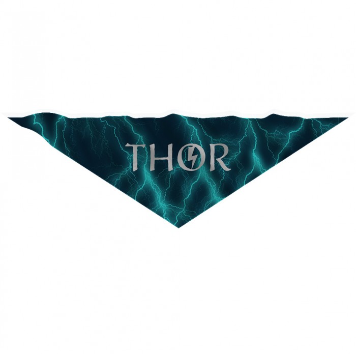 Bandana Pet Personalizada Trovão