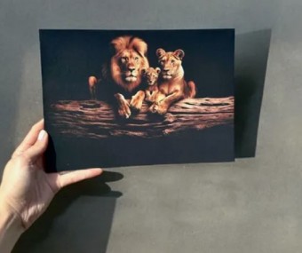 Placa de mdf 20x20 Personalizada, Transforme Qualquer Espaço