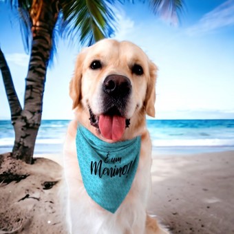 Bandana Pet Chá Revelação É Um Menino É Uma Menina