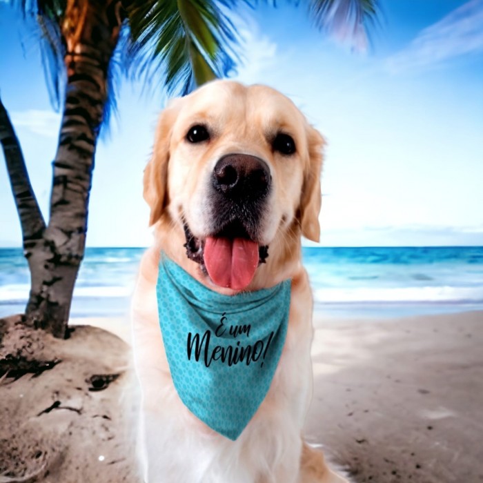 Bandana Pet Chá Revelação É Um Menino É Uma Menina