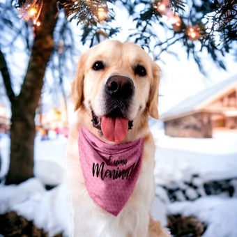 Bandana Pet Chá Revelação É Um Menino É Uma Menina