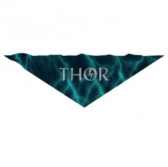 Bandana Pet Personalizada Trovão